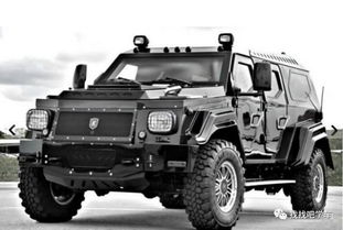 骑士十五世的介绍