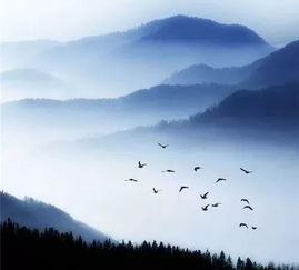 口若悬河的意思是褒义词还是贬义词