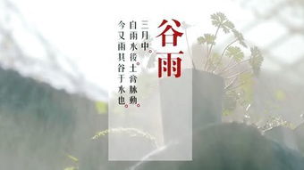 清心寡欲意思是什么？