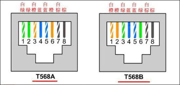 压水晶头网线排列顺序,网线排线顺序