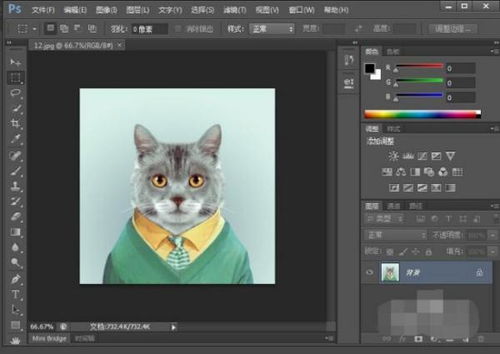 网上报名照片尺寸修改到10k