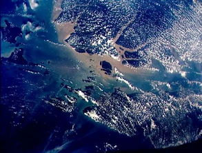 世界上最大的岛屿