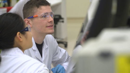 video是什么意思