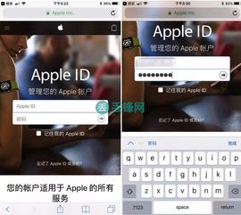 苹果id密码忘了怎么办被锁了怎么办,苹果id密码忘了怎么办手机号码也换了