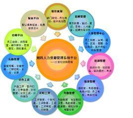 人力资源管理系统国内哪个好？