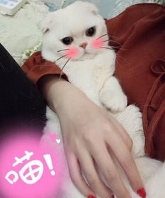 会说话的刘二豆死了吗