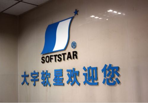 上海软星和北京软星