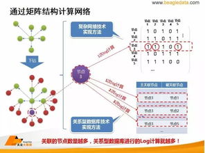 社会关系网络理论,社会关系网络由两部分构成