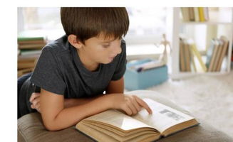 怎样进行语言表达能力的训练