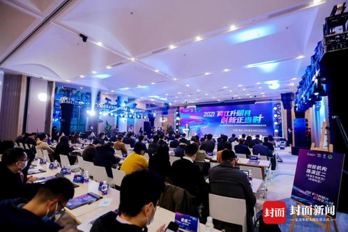 什么是创投公司