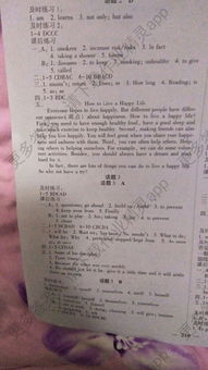 征服英语怎么写,征服英语八年级上册答案