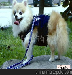 宠物服饰哪个牌子的比较好？