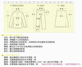 2尺4的腰围是多少厘米？