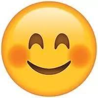 Facepalm是什么意思