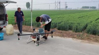 农村现在还有哪些商机