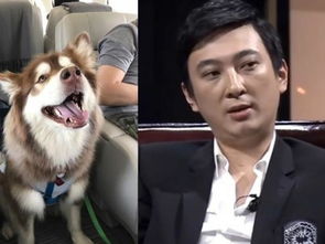 王可可是个碧池王思聪的狗喝水不是斐泉就塞牙 科普