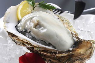 生蚝的保存方法