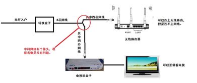 连接不上网络怎么办？