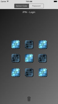 韩国ipin是不是永久的？