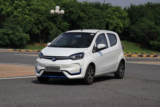 纯电动汽车排名前十名2021是什么？