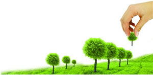 哈尔滨希望树教育咨询有限公司怎么样？