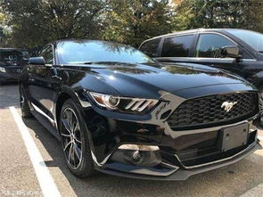 福特野马汽车价格,野马汽车的图片和价格图片 价钱