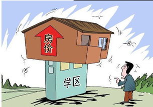 政策和法律风险由哪些