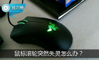 鼠标滚轮为什么上下失灵了？