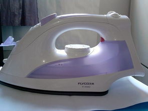 家用蒸汽熨斗什么品牌好,蒸汽熨斗怎么用视频