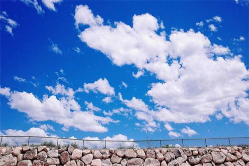 一叶障目的意思