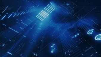 p图背景图片大全