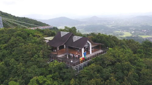 保亭网站建设,保亭政府网