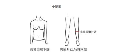 三围怎么量标准图