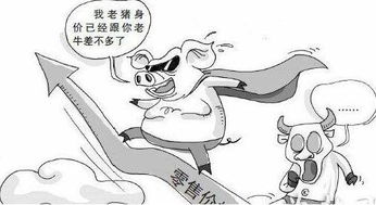 2022年下半年养猪前景如何