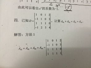 代数余子式计算方法