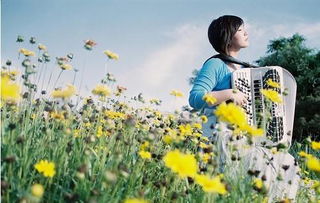 描写心情好的成语，阳光心态正能量的句子