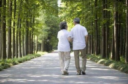 散步是有氧运动吗 散步一小时消耗多少热量