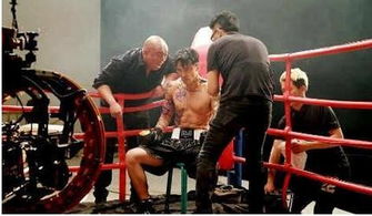 打手是什么意思 我不到打手是什么人