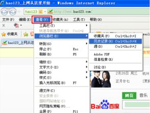 如何查看网站历史网页