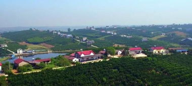 当阳大宜网络科技有限公司怎么样？