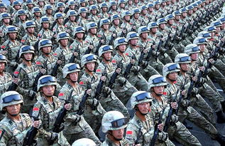 中国集团军兵力配置,中国集团军分部情况