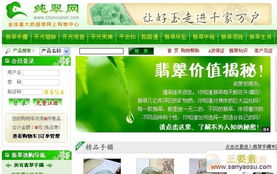 现在做什么网站最赚钱