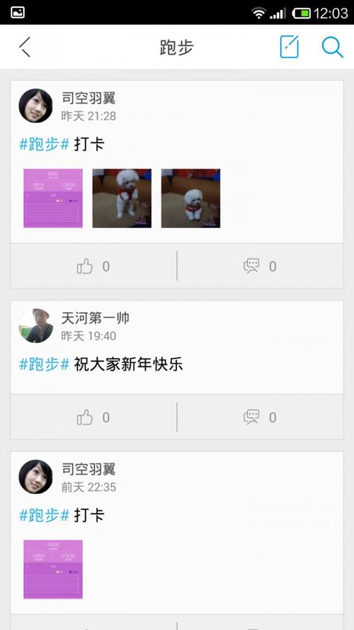 十二篮是什么？