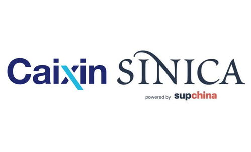 工作中brief什么意思