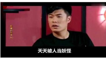 曾哥是什么梗?什么植物?