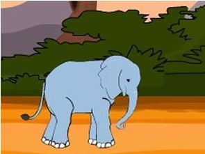 毛菇小象是什么牌子