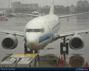 从北京到上海飞机多少钱