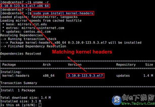 linux系统入门学习