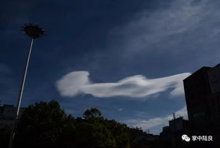 如意云纹是什么？