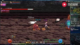 dnfbug反馈,DNFbug吧